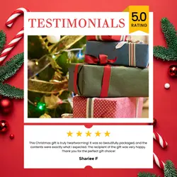 Customer Feedback Christmas Product Instagram Post