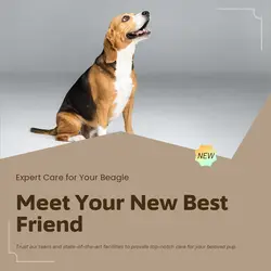 Pet industry General