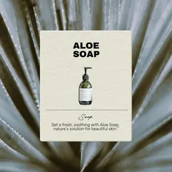 Beauty and Personal Care Product Introduction