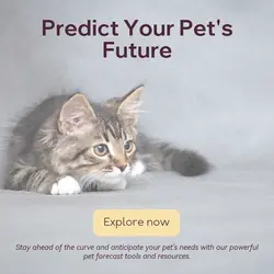 Pet industry Forecast