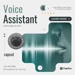 Internet Voice  assistant Branding Technology