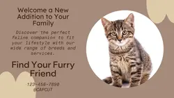 Pet industry General