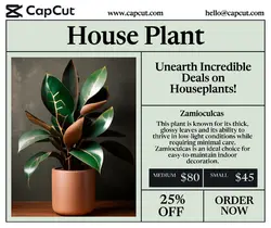 Household Accessories House Plant Sales Promotion Facebook Post