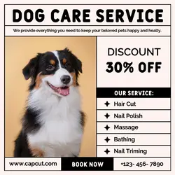 Pet Services Promotion Instagram Post
