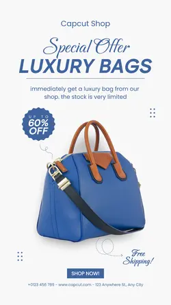 Fashion Bag Sale Instagram Story