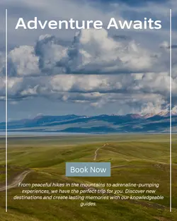 Travel industry General