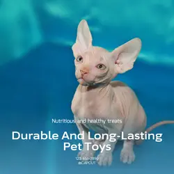 Pet industry Effect Display