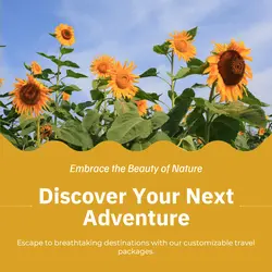 Travel industry General