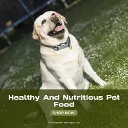 Pet industry Effect Display