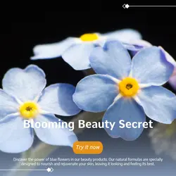Beauty & Personal care General