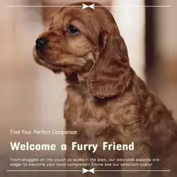 Pet industry General