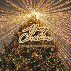Merry Christmas Greetings Linkedin Post