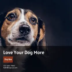 Pet industry General