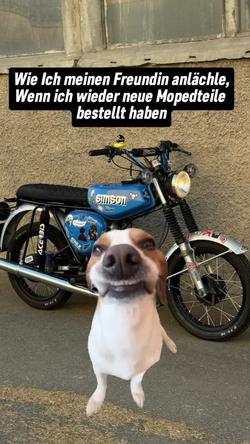 Recut | Hund lächeln meme