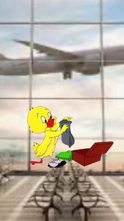 Recut | QUACKER PACKING 