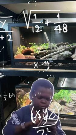 Recut | Math Calculations 