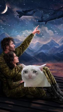 Recut | Sad cat crying meme 