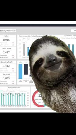 Recut | SlothConservation