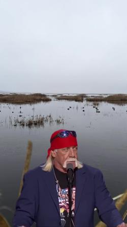 Recut | Hulk Hogan Trump