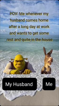 Recut | DONKEY ANNOYS SHREK