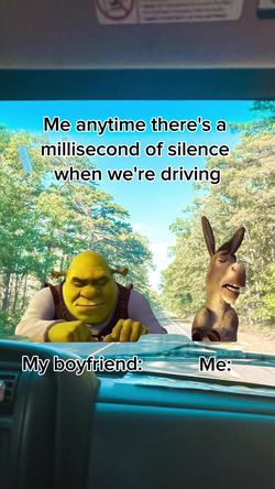 Recut | DONKEY ANNOYS SHREK