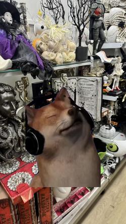 Recut | SHIBA INU SINGING