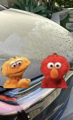 Recut \| blank stare