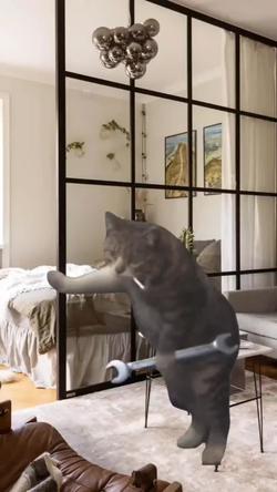 Recut | Cat mechanic meme 