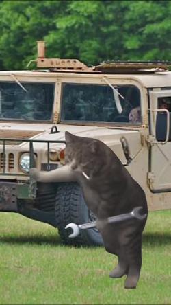 Recut | Cat mechanic meme 