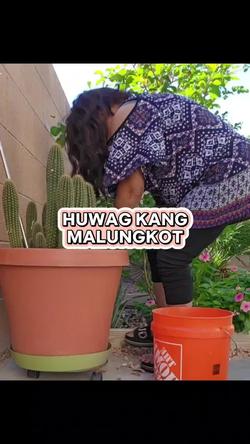 Recut | Magkape