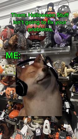 Recut | SHIBA INU SINGING
