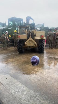Recut | HIPPO ON THE RUN