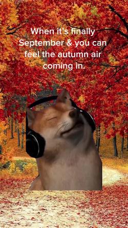 Recut | SHIBA INU SINGING