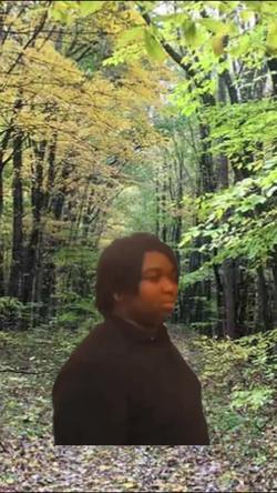 Recut | disappear meme 