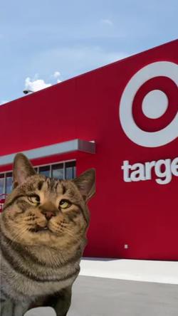 Recut | Cross Eyed Cat 