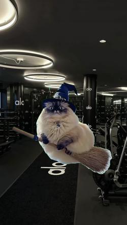 Recut | witch cat flying