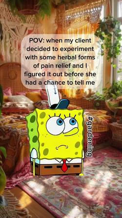 Recut | MOCKING SPONGBOB