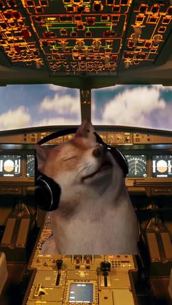 Recut | SHIBA INU SINGING