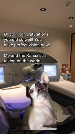 Recut | Chihuahua tired 