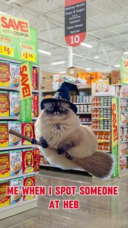 Recut | Cat Flying On Broom