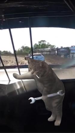 Recut | Cat mechanic meme 
