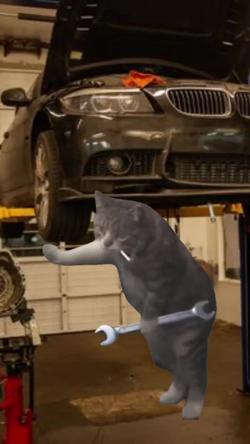 Recut | Cat mechanic meme 