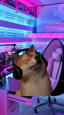 Recut | SHIBA INU SINGING