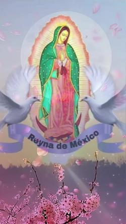 Recut | Musica para status