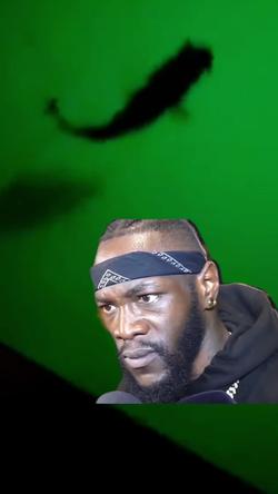 Recut | Deontay Wilder 