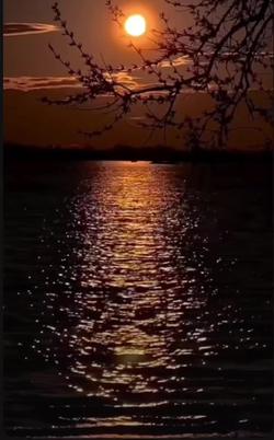 Recut | Good Night 