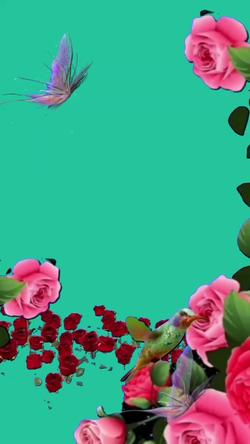 Recut | Diana pq brigamos