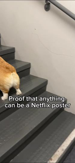 Recut | Proof Netflix Poster