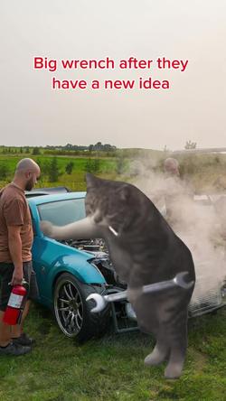 Recut | Cat mechanic meme 