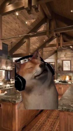 Recut | SHIBA INU SINGING
